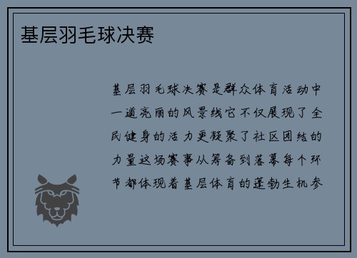 基层羽毛球决赛