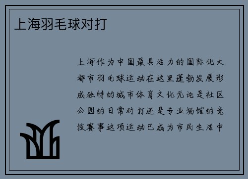 上海羽毛球对打